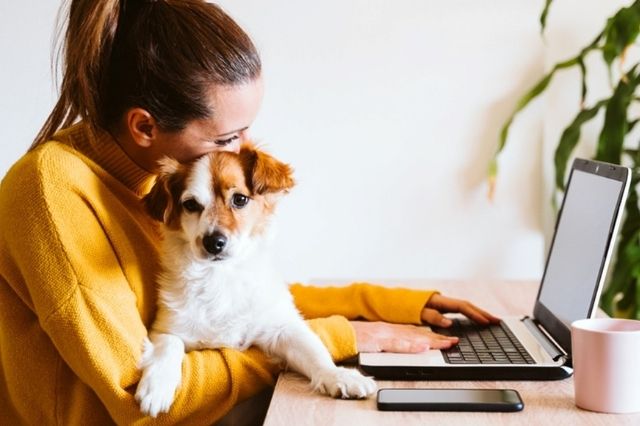 how-to-ask-management-to-bring-dog-to-office