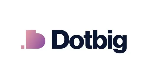 dotbig-ltd-review-key-findings