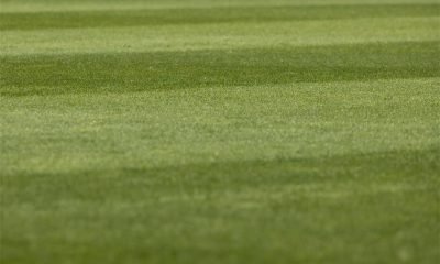 How Mowing the Lawn Can Be a Meditative Experience
