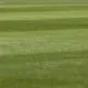 How Mowing the Lawn Can Be a Meditative Experience