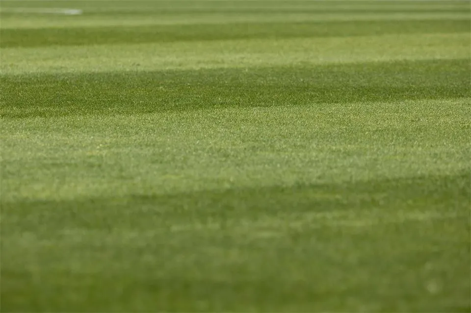 How Mowing the Lawn Can Be a Meditative Experience