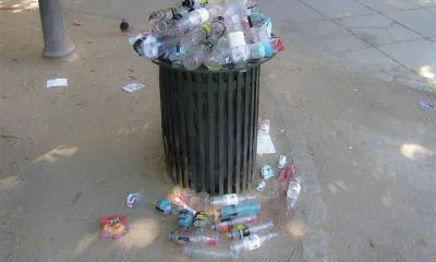 How Do Recycling Facilities Use Shredders for Plastic Waste Processing