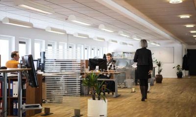 Cleaning Decisions That Shape Focus, Mood, and Sick Days at Work