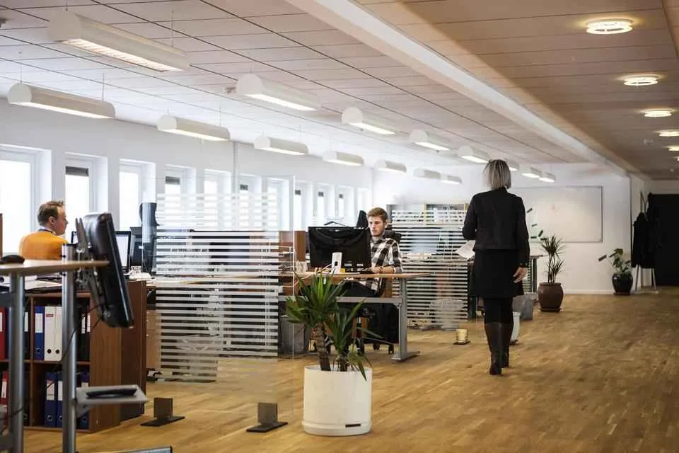 Cleaning Decisions That Shape Focus, Mood, and Sick Days at Work